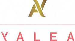 Logo Yalea